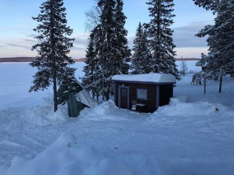 Northern Light Camp Kiruna Εξωτερικό φωτογραφία
